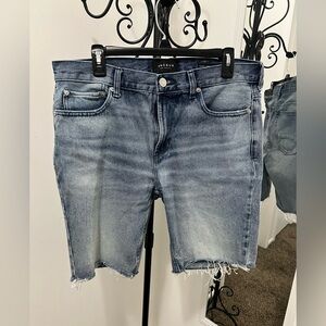 PacSun Distressed Denim Jean Shorts